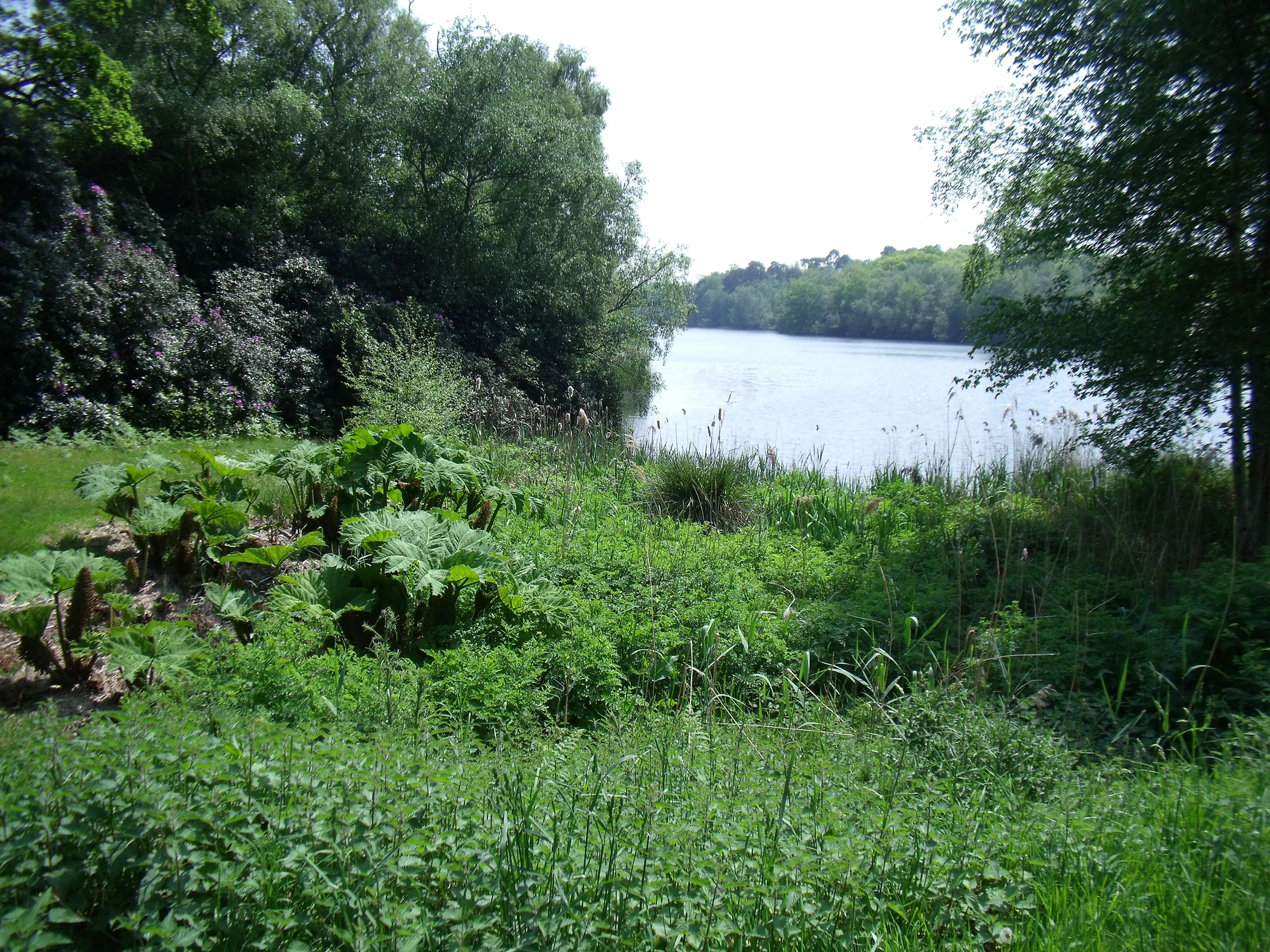 V0000263.JPG