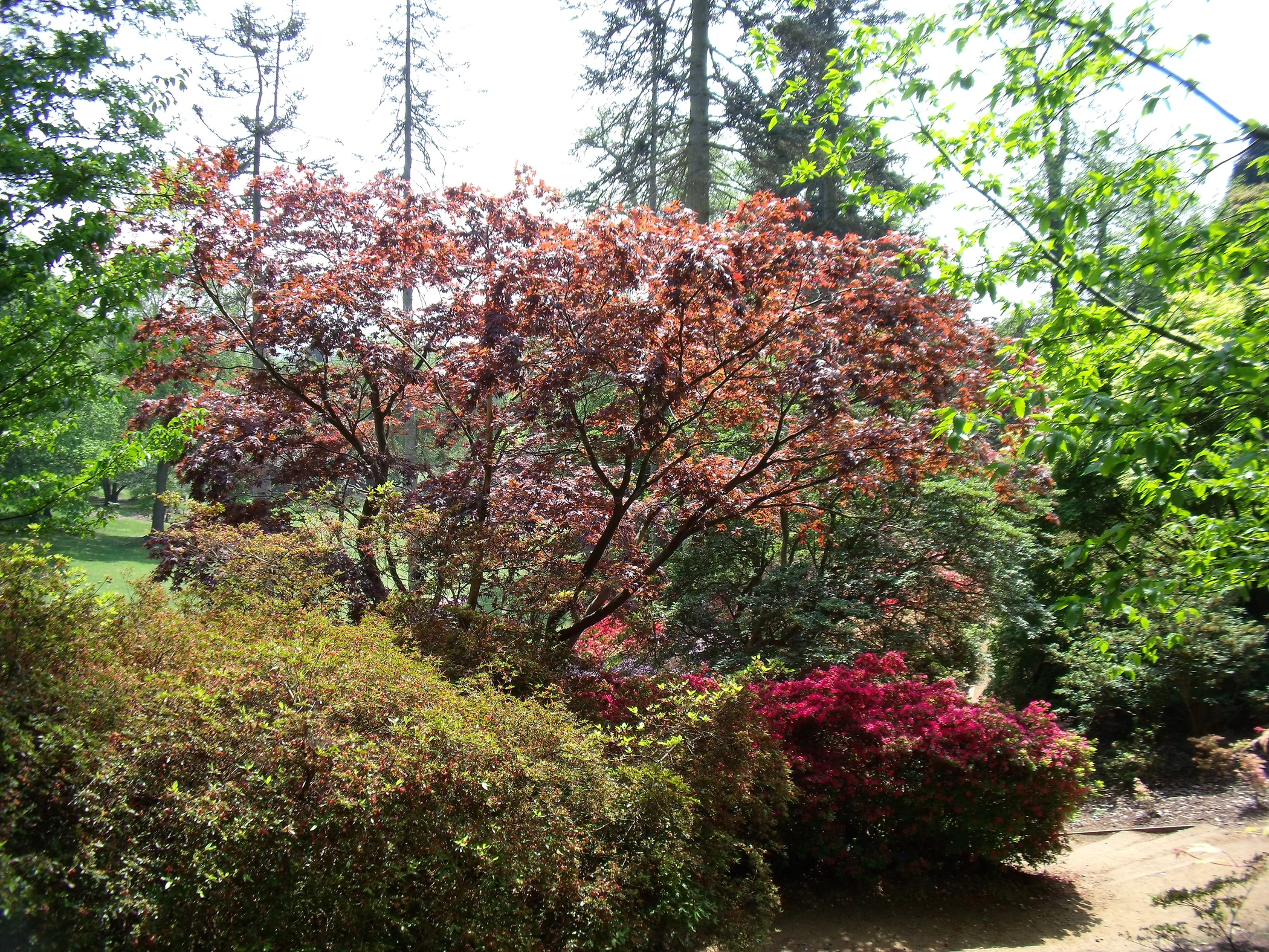 V0000268.JPG
