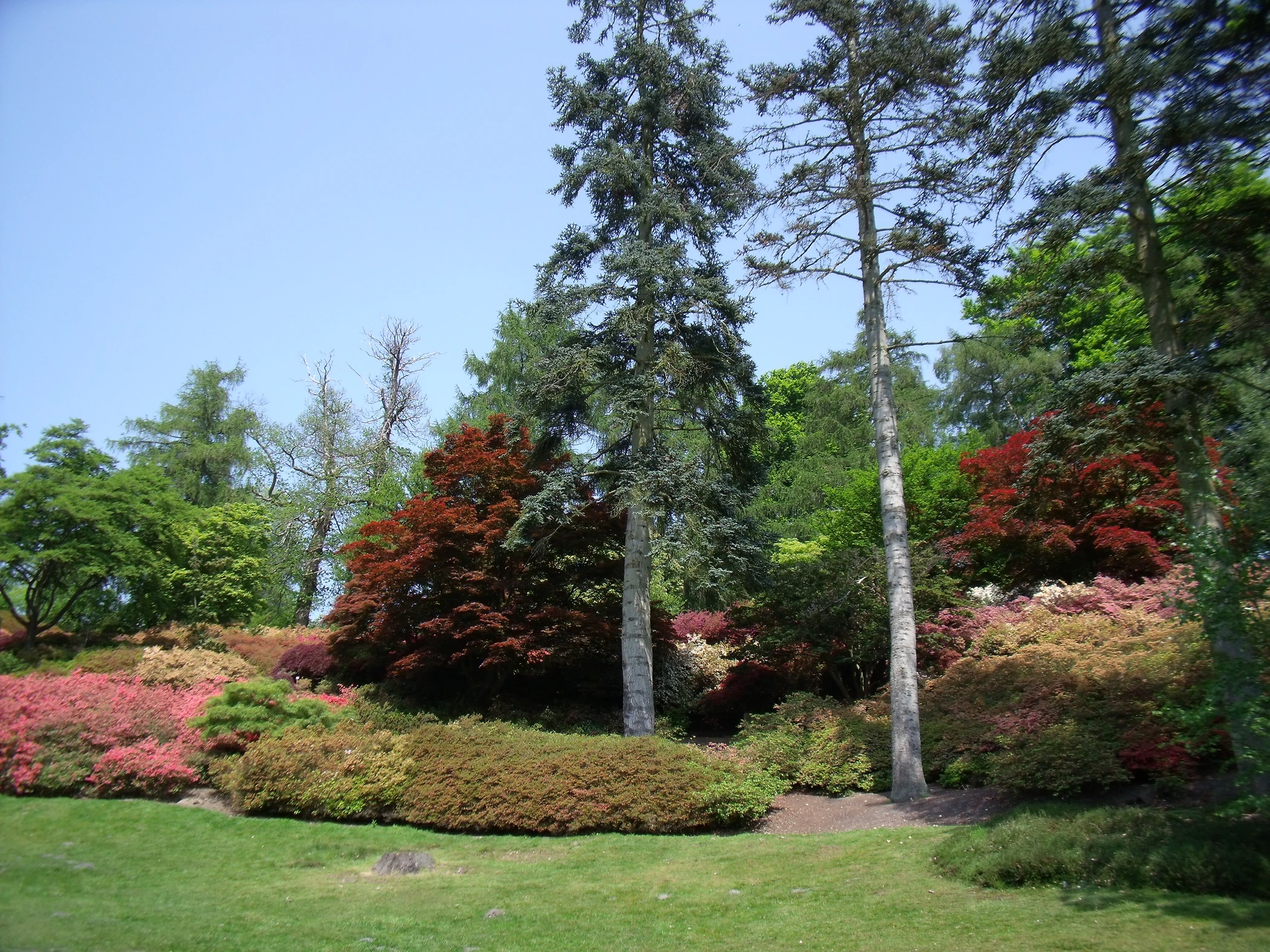 V0000273.JPG