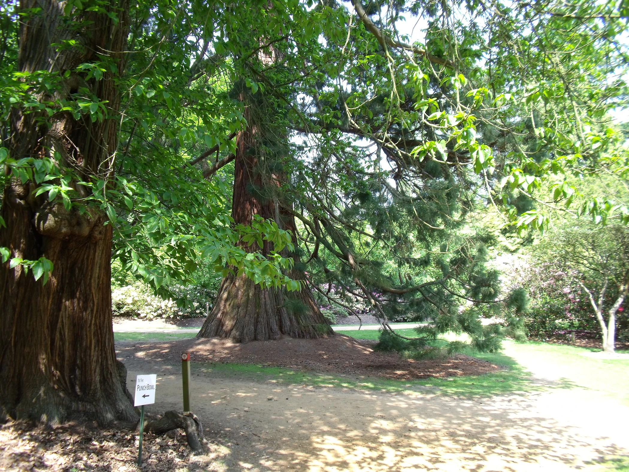 V0000278.JPG