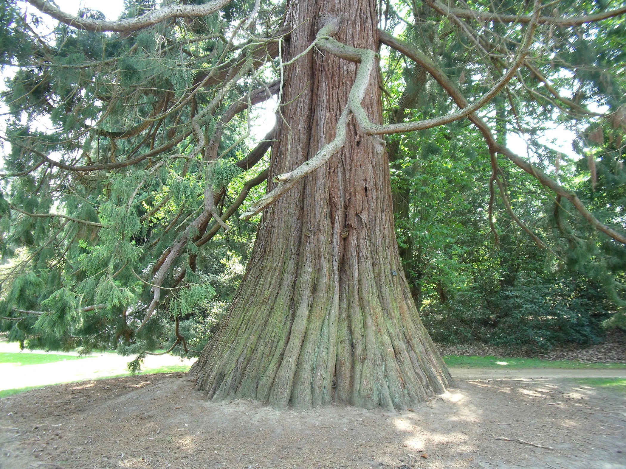 V0000280.JPG