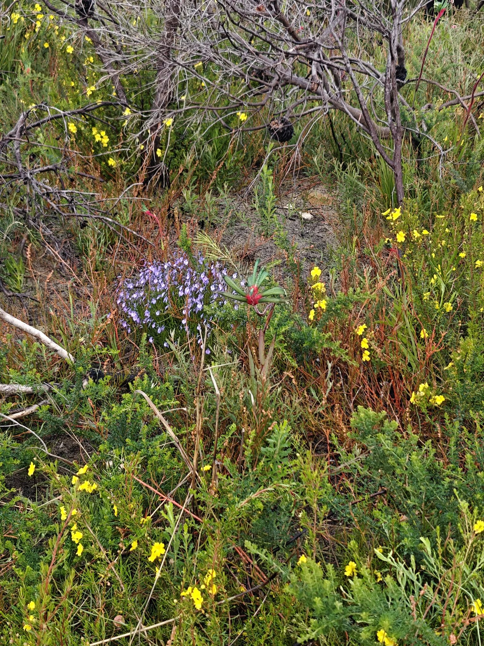 W0003260.JPG