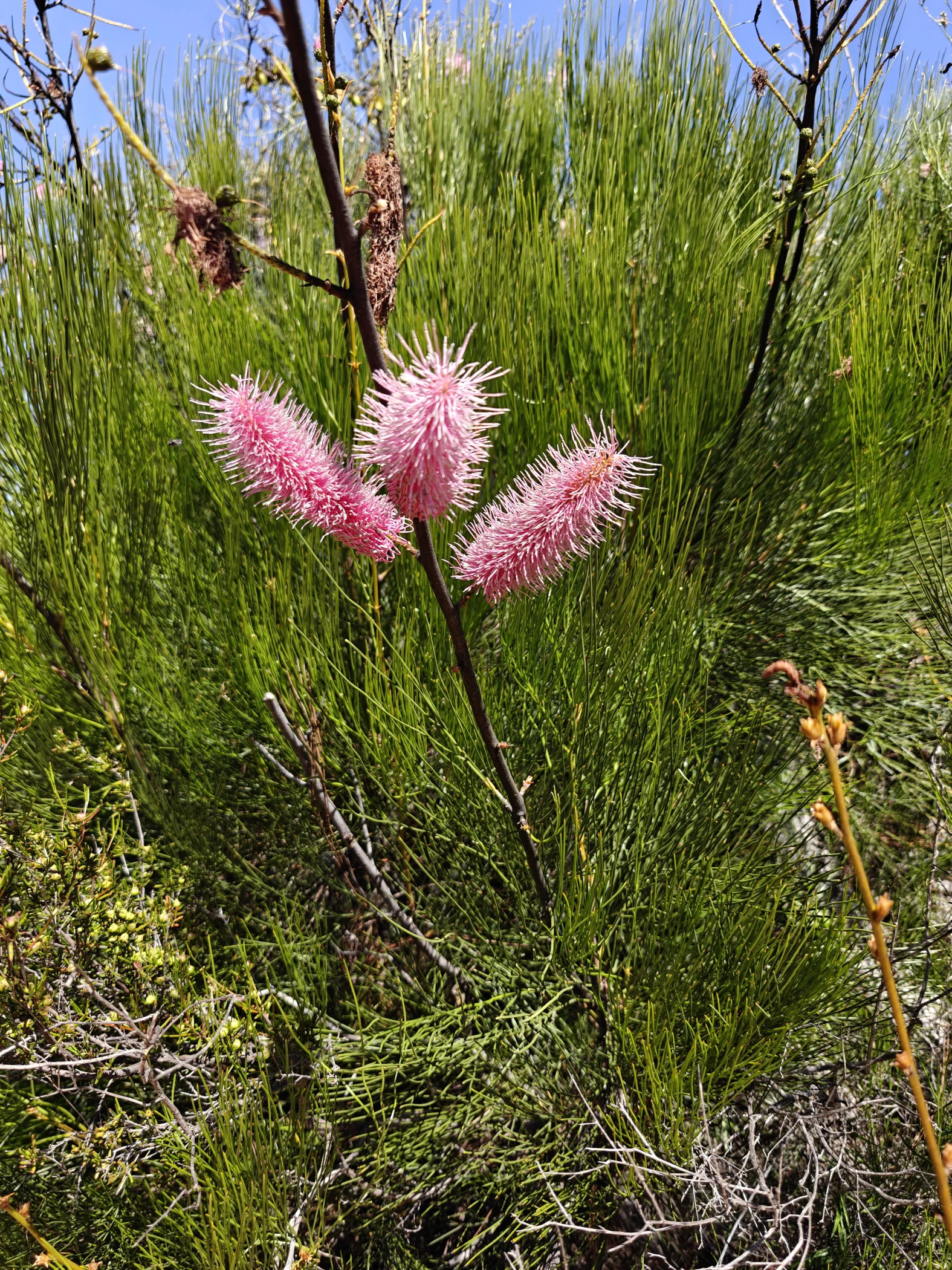 W0003317.JPG