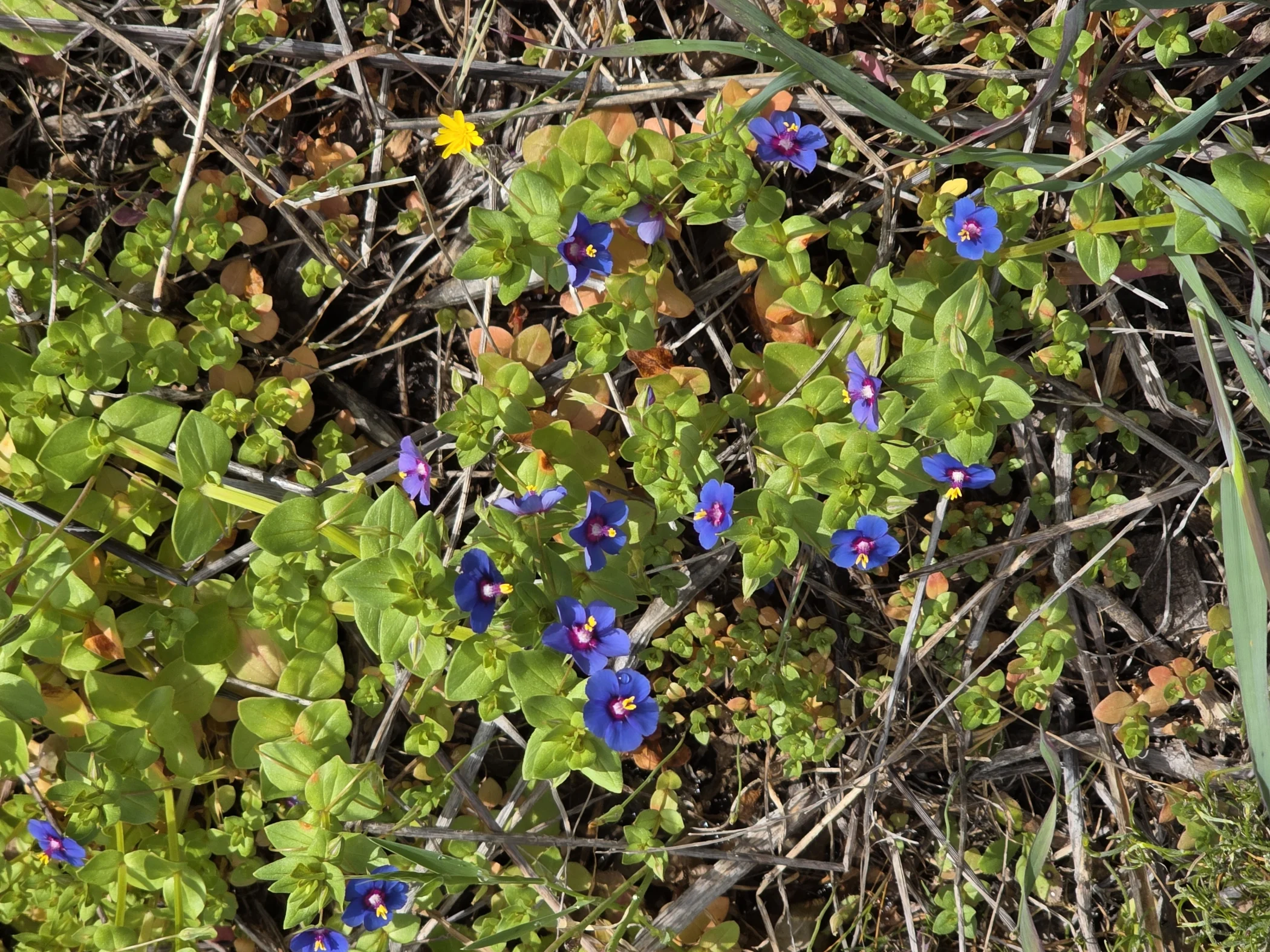 W0003348.JPG