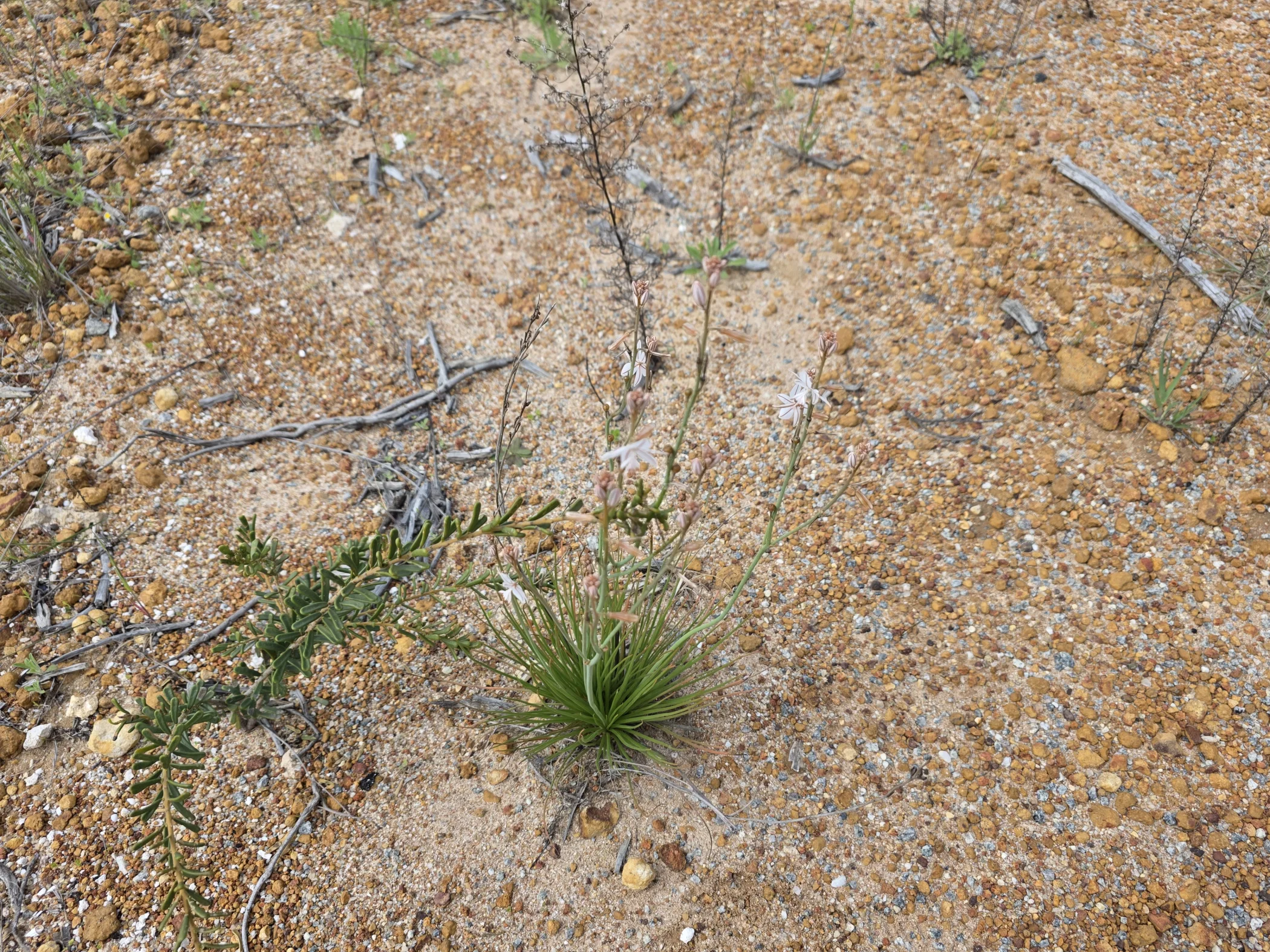 W0003352.JPG