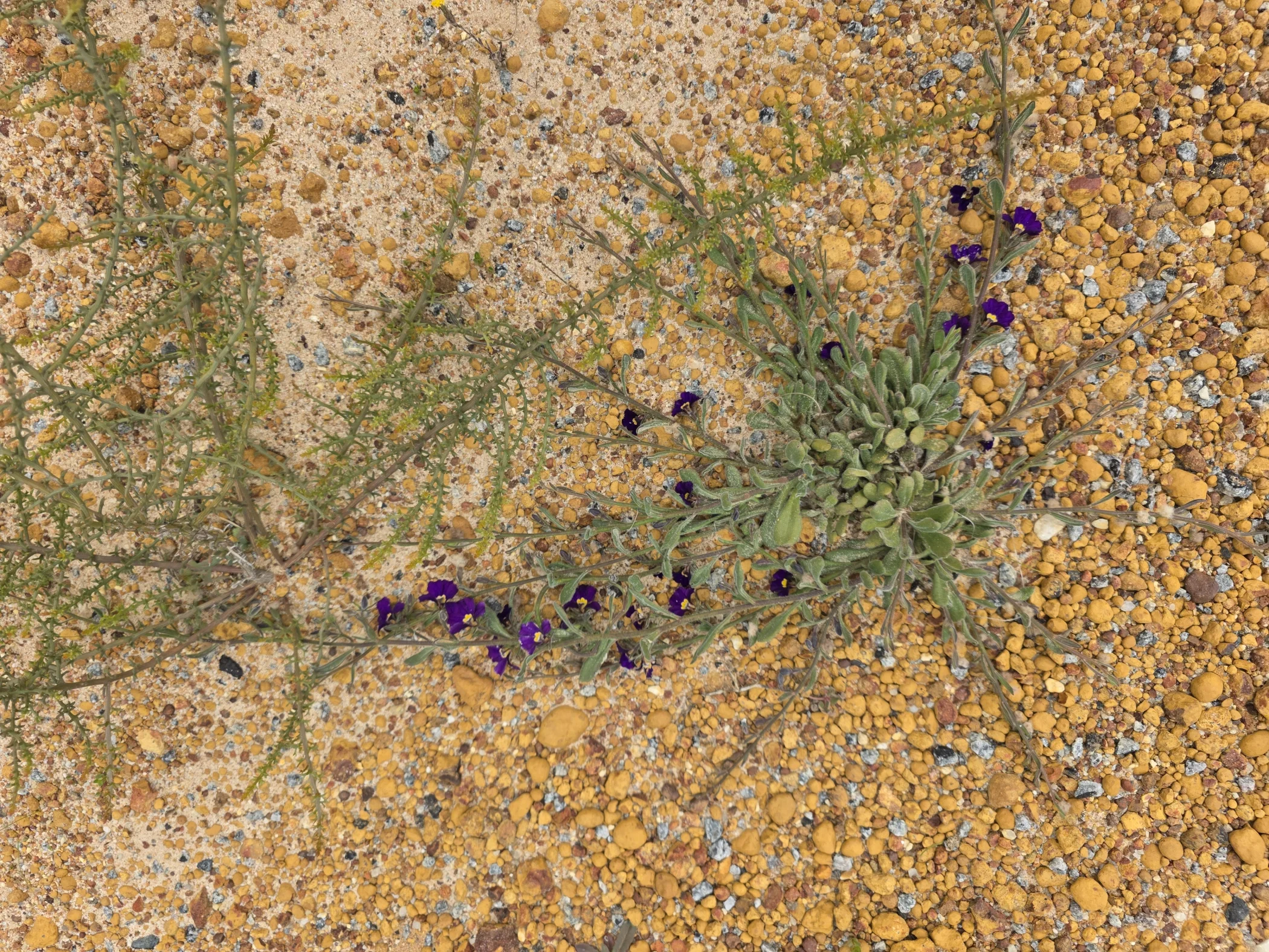 W0003355.JPG