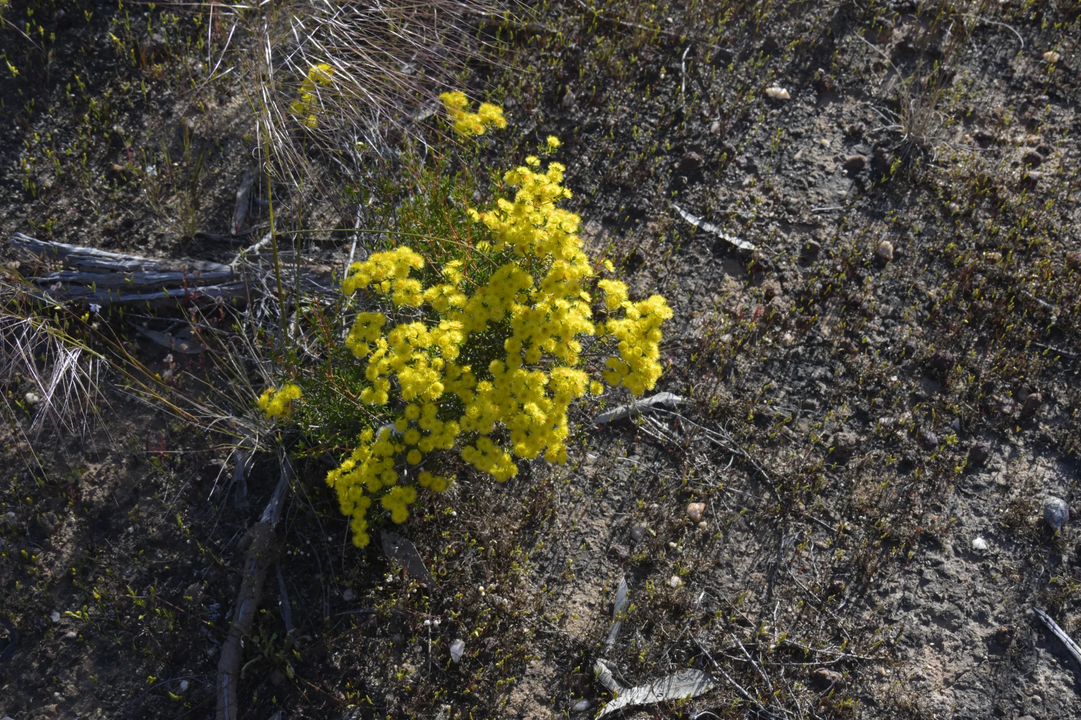 W0003404.JPG