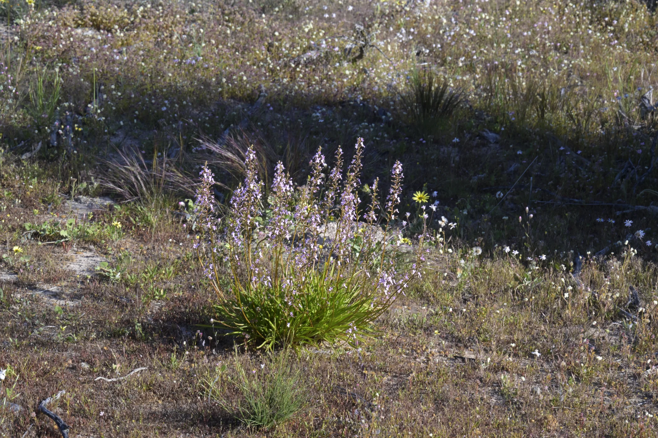 W0003406.JPG