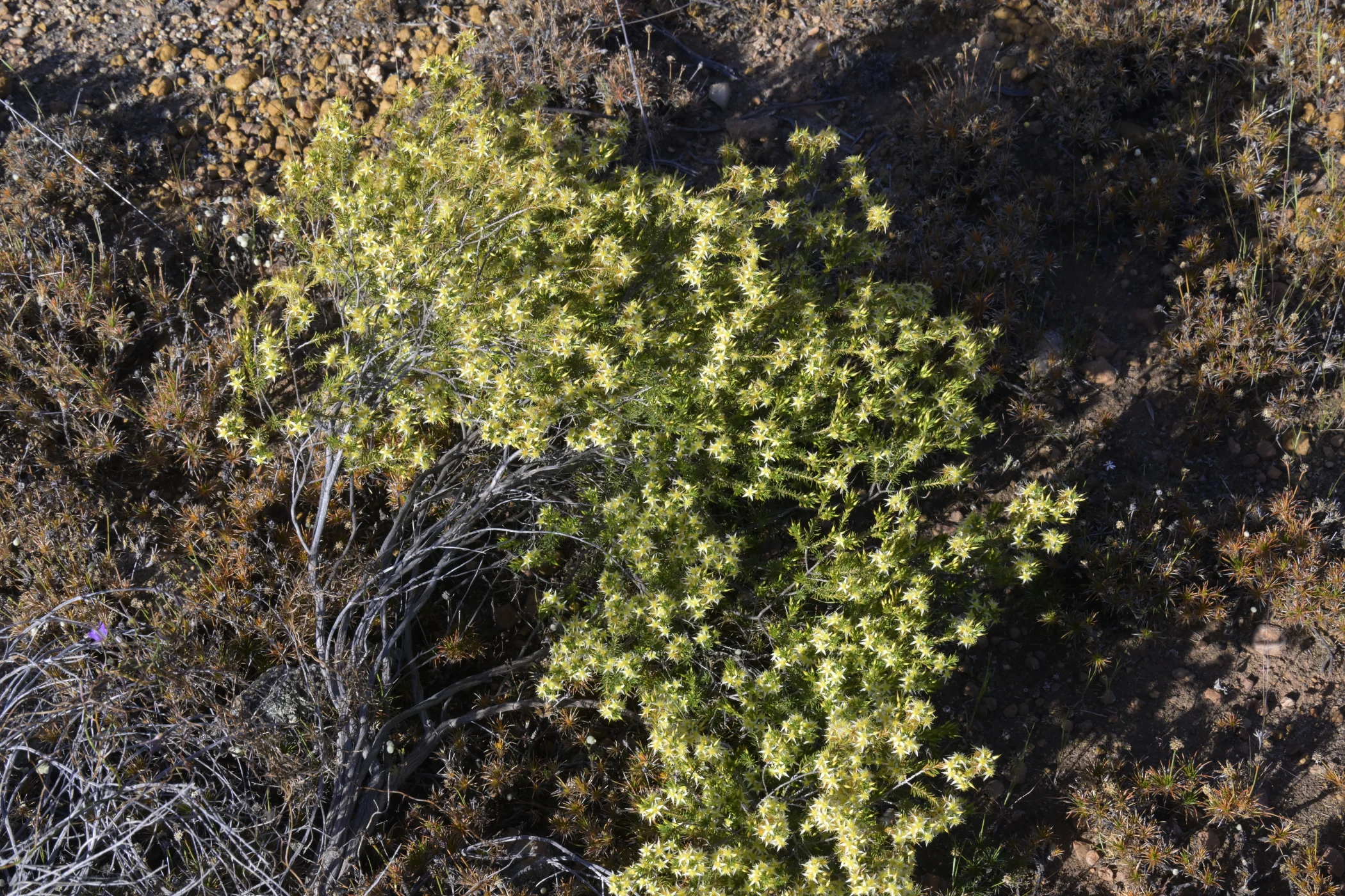 W0003408.JPG