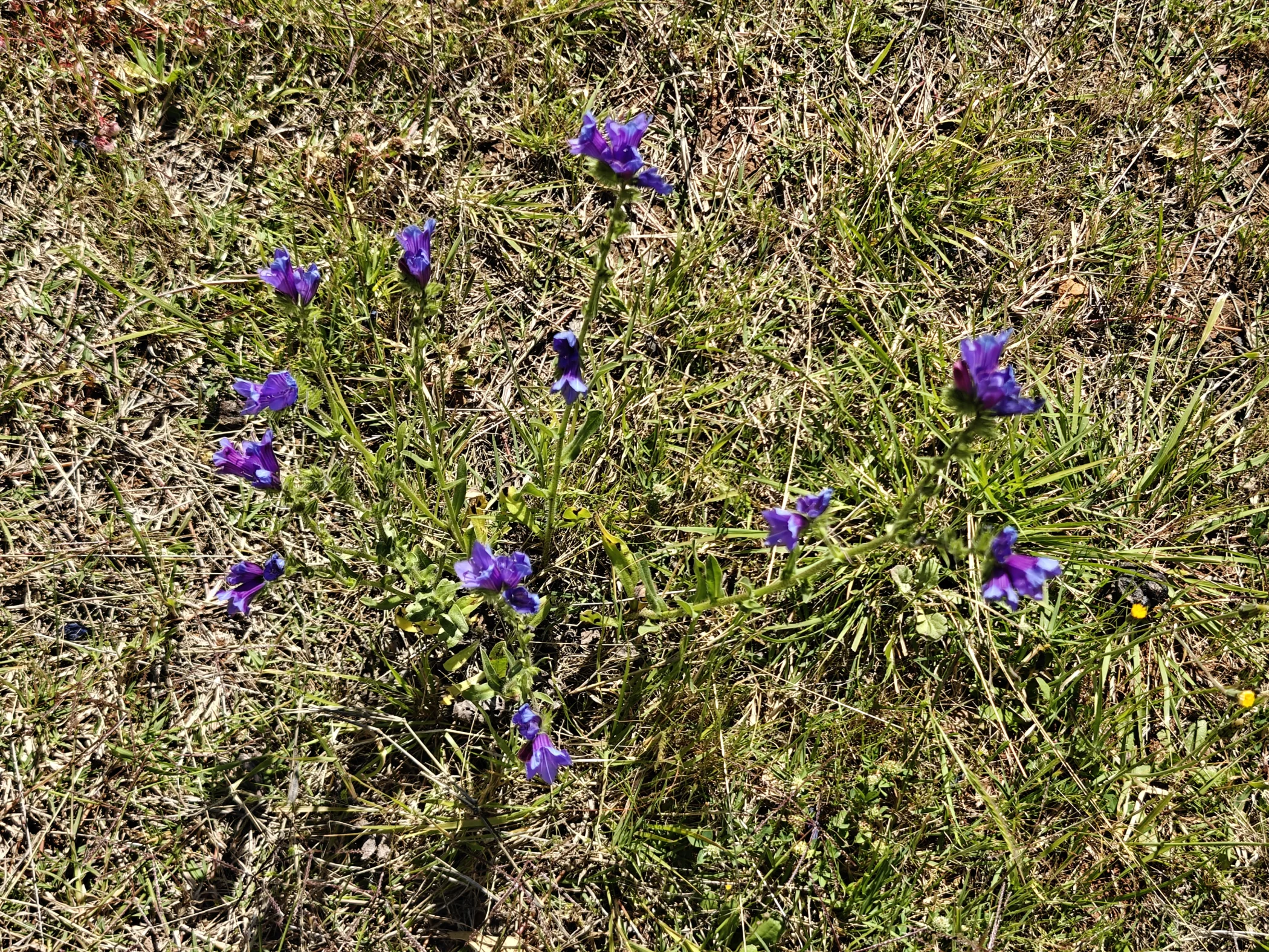 W0003464.JPG