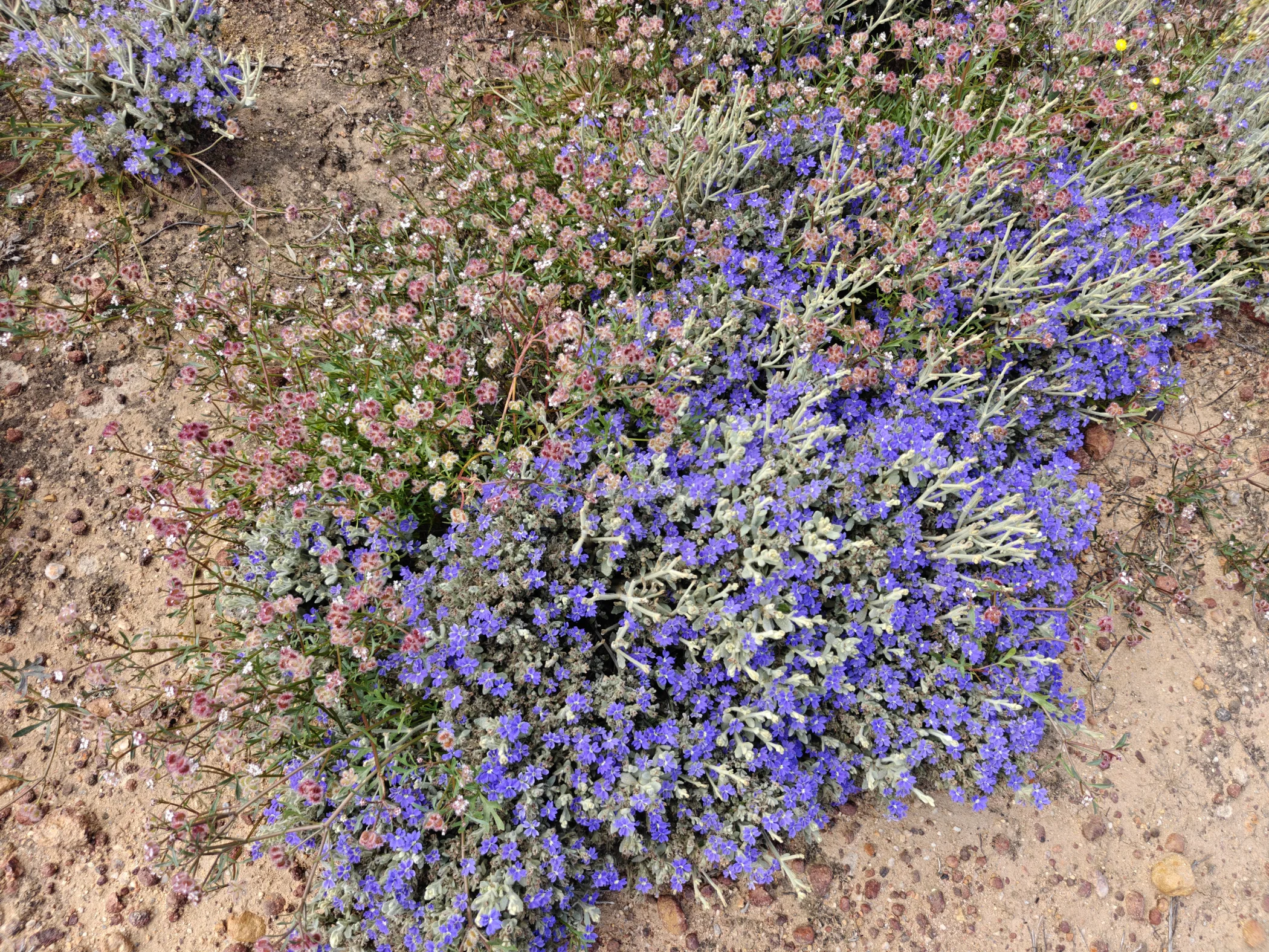 W0003505.JPG