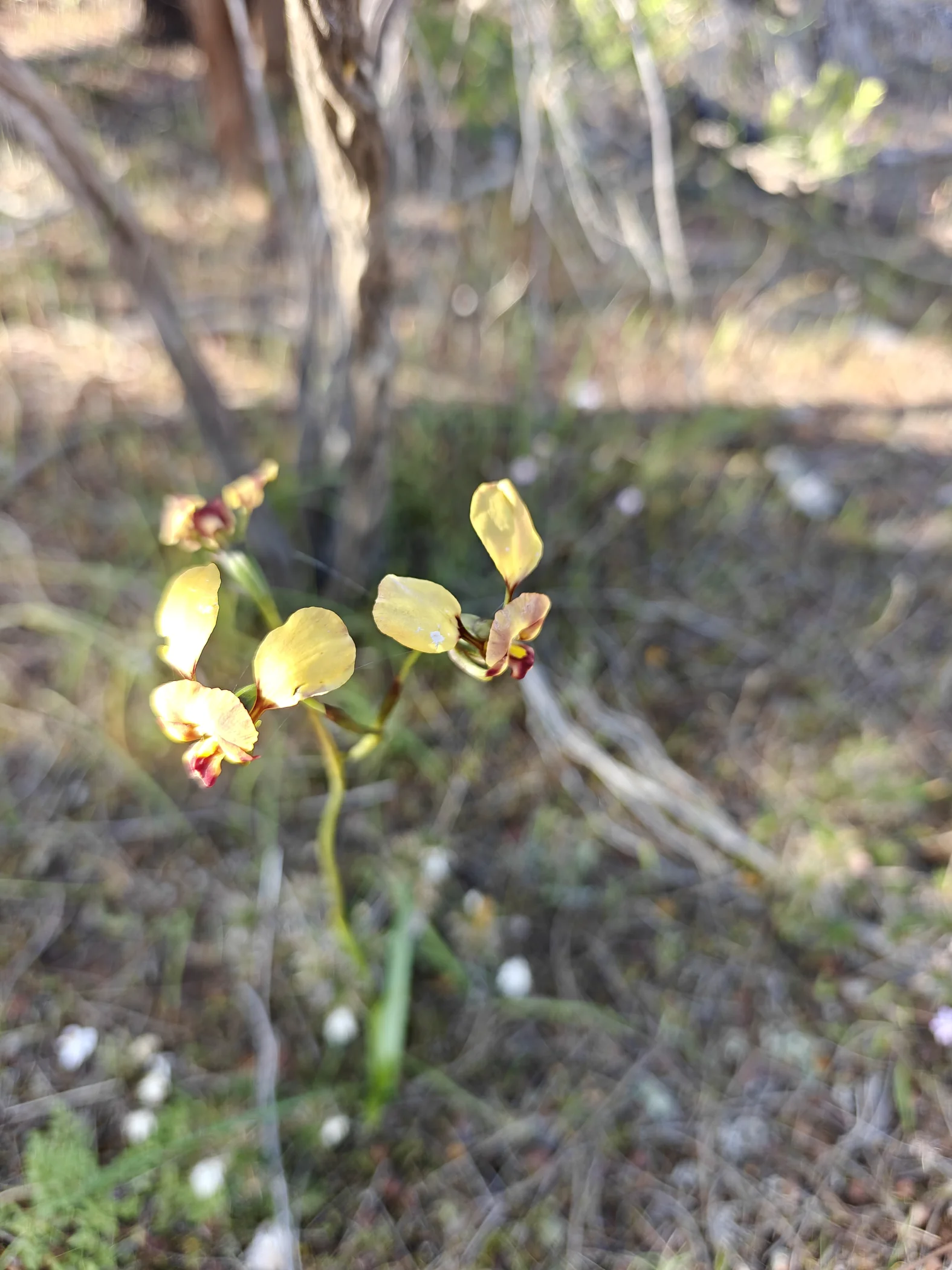W0003510.JPG