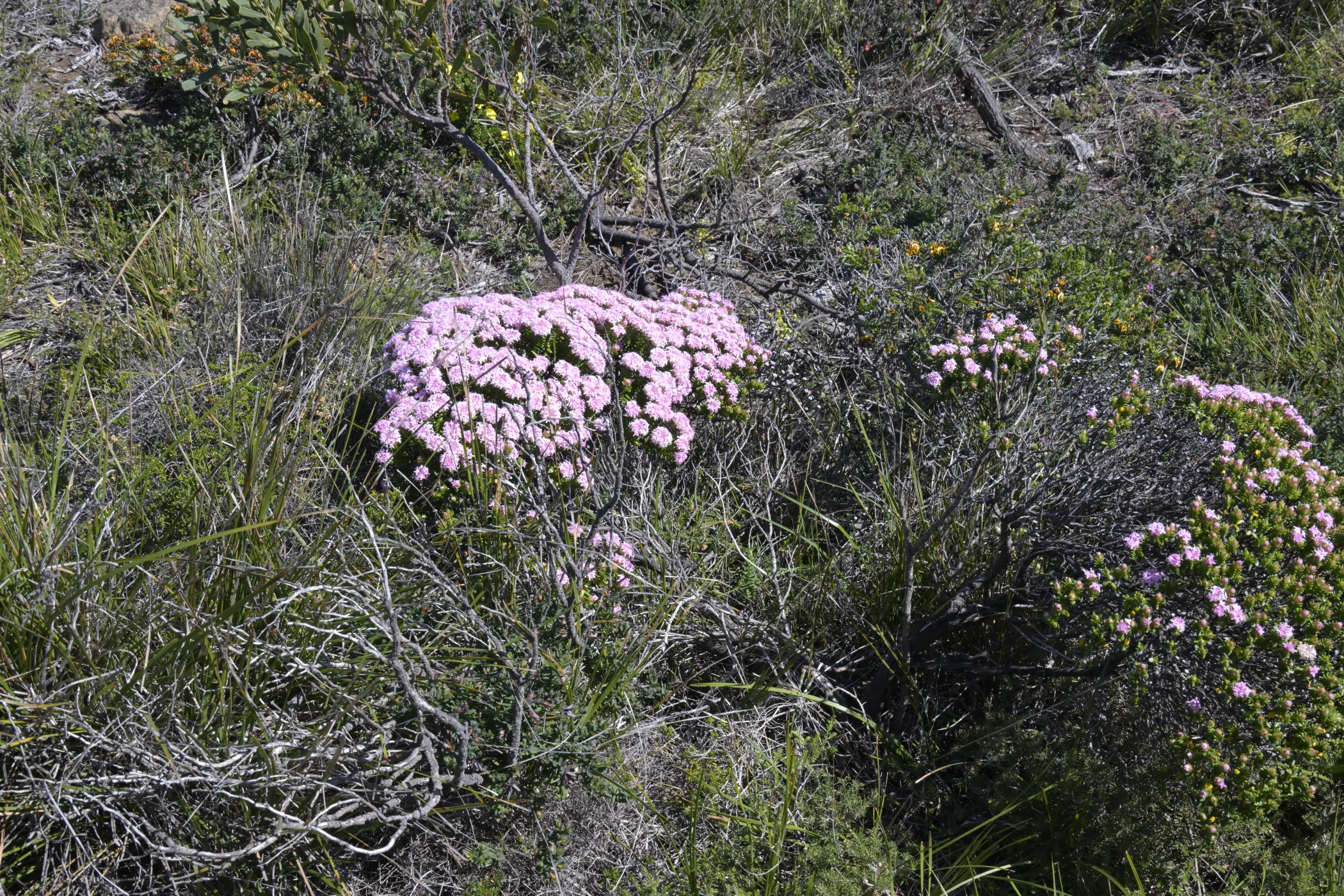 W0003587.JPG