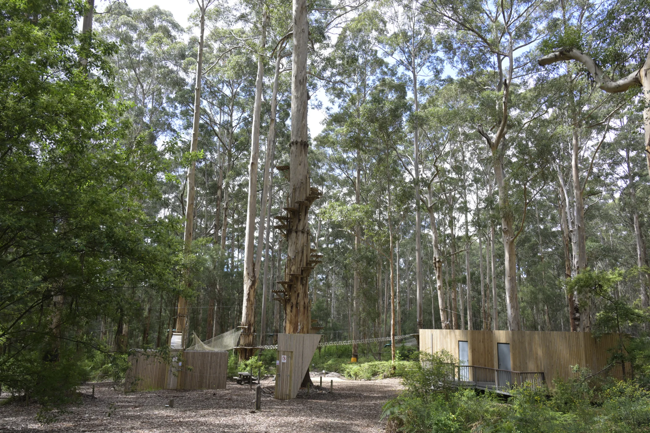 W0004000.JPG
